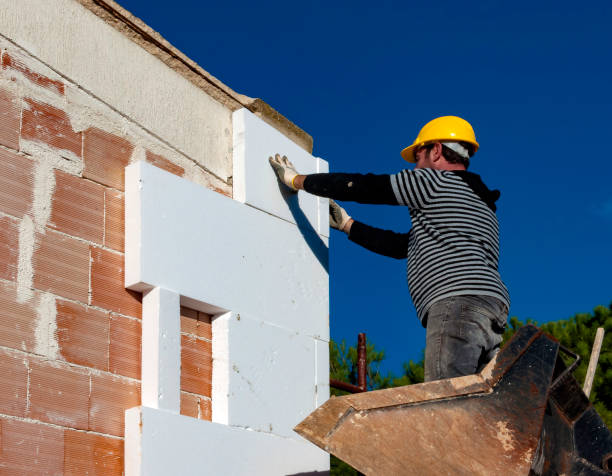 Best Insulation Contractor Near Me  in Bostonia, CA