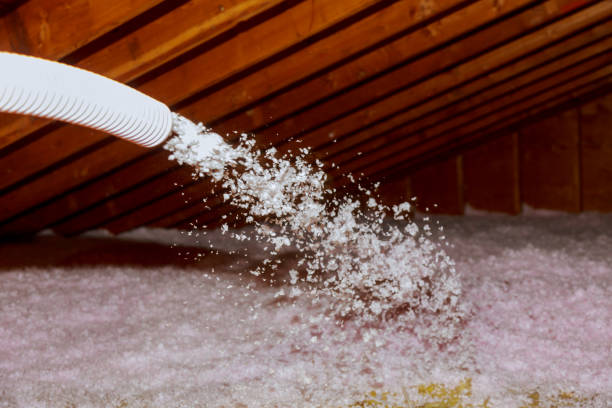 Best Insulation Inspection Services  in Bostonia, CA