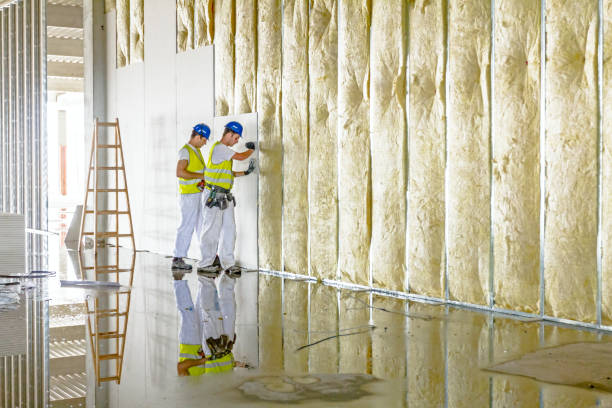 Garage Insulation Installation in Bostonia, CA